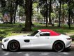 Mercedes-Benz AMG GT 2017 - Xe mới nhập tại hãng 1 viên duy nhất mui trần thể thao 🎉