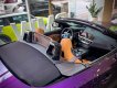 BMW Z4 2023 - Roadster cá tính với màu Thundernight Metallic