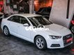 Audi A4   sản xuất 2016 odo 4v sang xịn mịn - 739tr 2016 - Audi A4 sản xuất 2016 odo 4v sang xịn mịn - 739tr