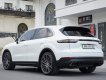 Porsche Cayenne 2019 - Odo 4v9 km, Option full thủng nóc nhà