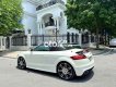 Audi TT   mui trần 2008 - audi TT mui trần