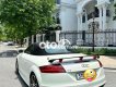 Audi TT   mui trần 2008 - audi TT mui trần