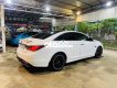 Hyundai Sonata   2010 tự động full opsions 2010 - Hyundai SONATA 2010 tự động full opsions