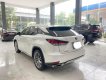 Lexus RX 300 2020 - Bán Lexus RX300 đăng ký tháng 5/2020, 1 chủ từ đầu, sơn zin cả xe.