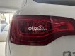 Audi Q7 Cần bán  đời 2010 2010 - Cần bán Audi đời 2010