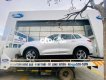 Ford Territory Vừa Về Màu Bạc Xe  Territo 2023 - Vừa Về Màu Bạc Xe Ford Territo
