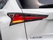 Lexus NX 300 2019 - Hỗ trợ vay tối đa 70% xe