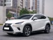 Lexus NX 300 2019 - Hỗ trợ vay tối đa 70% xe