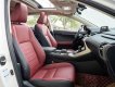 Lexus NX 300 2019 - Hỗ trợ vay tối đa 70% xe