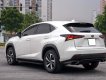 Lexus NX 300 2019 - Hỗ trợ vay tối đa 70% xe