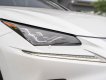 Lexus NX 300 2019 - Hỗ trợ vay tối đa 70% xe