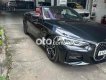 BMW 430i  430i mui mềm 2021 - BMW 430i mui mềm