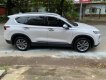 Hyundai Santa Fe 2020 - xe  oto