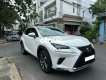 Lexus NX 300   300 xe nhập Nhật, màu trắng, xe zin 2019 - Lexus NX 300 xe nhập Nhật, màu trắng, xe zin