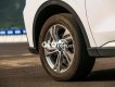 Ford Territory Mua  Nhận Ngay Ưu Đãi Kép 100% TB 2023 - Mua Territory Nhận Ngay Ưu Đãi Kép 100% TB