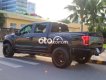 Ford F 150  F150 Platinum 2015 Xe Cực Chất 2015 - Ford F150 Platinum 2015 Xe Cực Chất