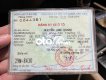 Kia CD5   2001 - cd5 KiA