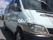 Mercedes-Benz Sprinter Cần bán xe 16 chổ. mercedes printer 2006 - Cần bán xe 16 chổ. mercedes printer