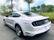 Ford Mustang 2020 - Ford Mustang Premium 2.3 bản Fifty - five year 2020 .Nhập mỹ nguyên chiếc.