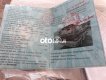 Mitsubishi Jolie Xe gia đình ko kinh doanh 2002 - Xe gia đình ko kinh doanh