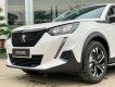 Peugeot 2008 2023 - [Bình Dương] Đủ màu, giao ngay cho khách, vay tối đa 85% xe, liên hệ em Hiền lái thử ngay