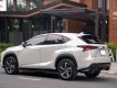 Lexus NX 300 2019 - Odo 6,6 vạn km