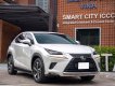 Lexus NX 300 2019 - Odo 6,6 vạn km