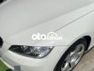 BMW 325i Bán  325i Cabrio  model 2010 2010 - Bán BMW 325i Cabrio mui trần model 2010