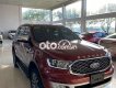 Ford Everest EVERET TITANIUM 4X4 SX2021 XE CHỈ BÀN VỀ GIÁ 2021 - EVERET TITANIUM 4X4 SX2021 XE CHỈ BÀN VỀ GIÁ