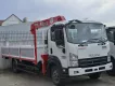 Isuzu FRR 2023 - Isuzu FRR650 gắn cẩu Unic 345