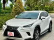 Lexus NX 300 2020 - Lexus NX300 - 2020 - 39.000 Km