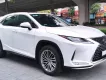 Lexus RX 300 2021 - Bán xe Lexus RX 300 đời 2021, màu trắng, nhập khẩu, giá cả thương lượng