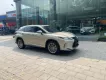 Lexus RX 300 2020 - Bán Lexus RX300, sản xuất 2020, màu Titan cực đep, xe 1 chủ.