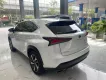 Lexus NX 300 2019 - Chính chủ bán Lexus NX300 mode 2019, sơn zin cả xe, full lịch sử hãng