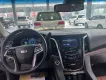 Cadillac Escalade 2016 - Cadilac Escalade màu đen nội thất nâu xe sản xuất năm 2016 chủ xe đi rất giử xe
