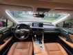 Lexus RX 300 300 2022 - Lexus RX300 xe mới và đẹp nhất Việt Nam