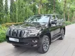 Toyota Land Cruiser Prado VX 2022 - Bán Toyota Prado VX model 2022, xe cực mới, 1 chủ.