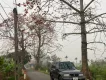 Suzuki Vitara 2005 - Chính chủ bán xe Vitara 2005