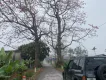 Suzuki Vitara 2005 - Chính chủ bán xe Vitara 2005