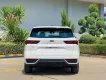 Ford Territory 2025 - FORD TERRITORY 2025 – SUV CÔNG NGHỆ DẪN ĐẦU PHÂN KHÚC