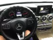 Mercedes-Benz C 250 2018 - BÁN MERCEDES C250 SX 2018 - ĐĂNG KÝ 2019