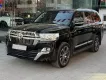 Toyota Land Cruiser 4.6 V8 4 chỗ siêu VIP 2020 - Bán Land Cruiser 4.6V8 4 chỗ siêu VIP, sản xuất 2020. xe cực mới.