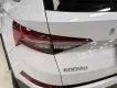 Hãng khác Khác 2024 - Chính chủ bán xe Skoda sản xuất năm 2024
