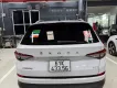 Hãng khác Khác 2024 - Chính chủ bán xe Skoda sản xuất năm 2024
