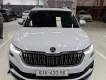 Hãng khác Khác 2024 - Chính chủ bán xe Skoda sản xuất năm 2024