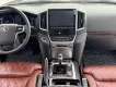 Toyota Land Cruiser 4.6 V8 2020 - Bán Toyota Land Cruiser 4.6 V8 sản xuất 2020. Xe cực đẹp.