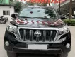 Toyota Prado 2017 - Bán Toyota Prado sản xuất 2017, 1 chủ Hà Nội.