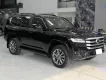 Toyota Land Cruiser LC300 2023 - Bán Toyota Land Cruiser LC300 sản xuất 2023, 1 chủ Hà Nội