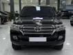 Toyota Land Cruiser 4.6  2020 - Bán Toyota Land Cruiser 4.6 V8 sản xuất 2020, 4 ghế VIP.