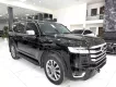 Toyota Land Cruiser LC300 2024 - Bán Land Cruiser LC300 sản xuất 2024, lên full bodykit Trung Đông.
